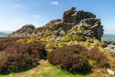 英格兰,英国,西罗普,自然保护区,国内著名景点,天空,停泊的,旷野,摩尔人风格,水平画幅