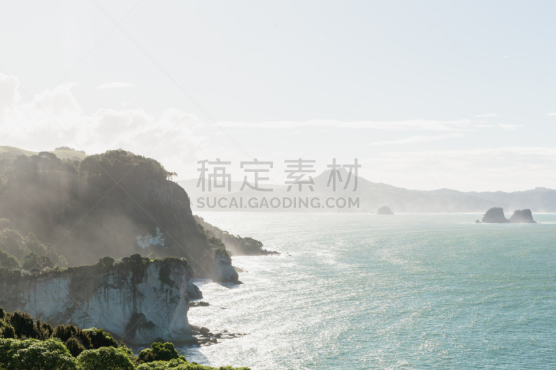 科罗曼德尔半岛,cathedral cove,新西兰,海岸线,波浪,植物,自然现象,背景,岩石