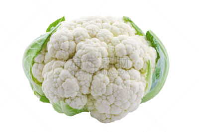 花椰菜,分离着色,水平画幅,十字花科,无人,白色,成分,叶子,甘蓝,灰葡萄孢菌