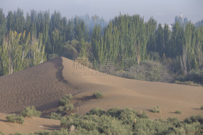 库木塔格沙漠风景区,塔克拉玛干沙漠,贴身保镖,休闲活动,背景,沙子,陆用车,干的,地平面,极端地形