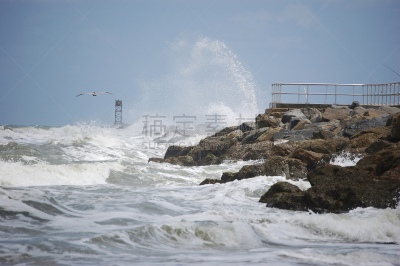 栈桥码头,庞塞,水湾,英镑符号,水平画幅,无人,户外,鹈鹕,海浪,海滩