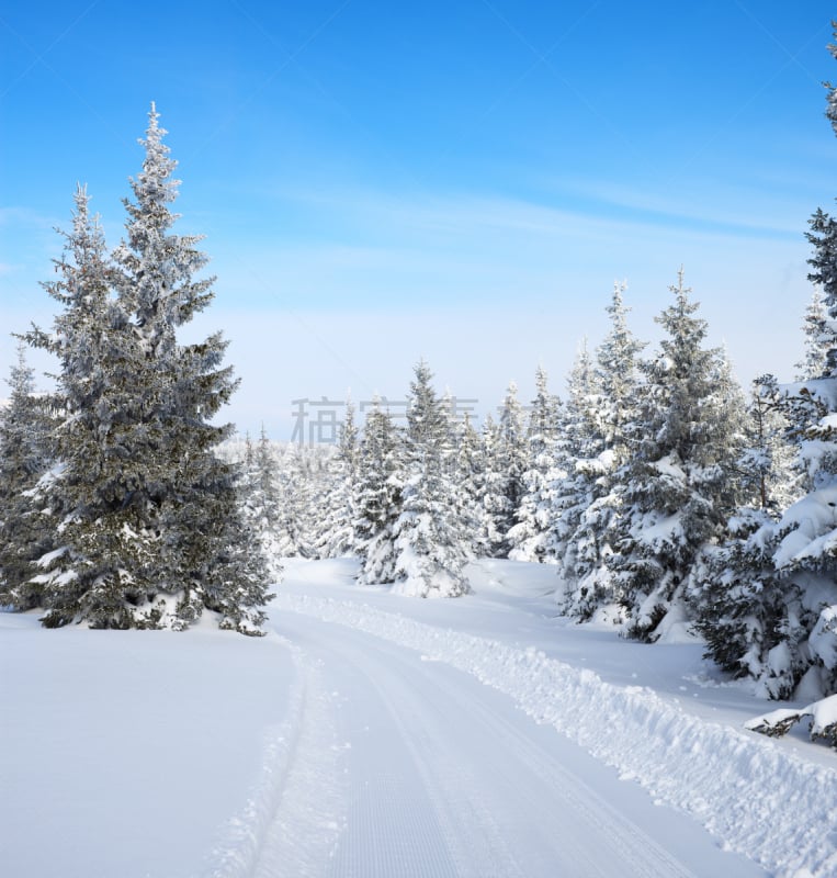 小路,冬天,森林,风景,休闲追求,雪,有包装的,非都市风光,毯子