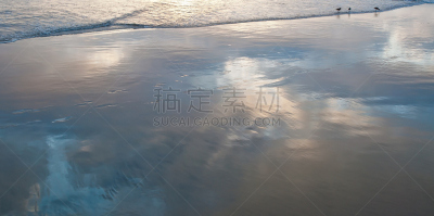海浪,花条纹黑尾鹬,三只动物,防水长靴,南加利福尼亚,曙暮光,野生动物,黄昏,加利福尼亚,自然美