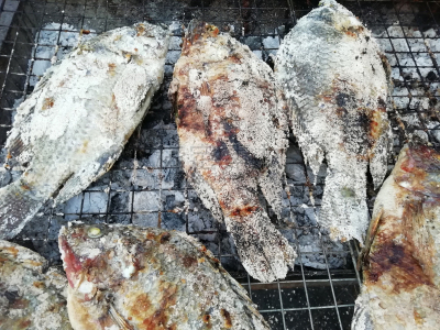 格子烤肉,食盐,煤,鱼类,罗非鱼,黑色,金属格栅,手提炉,牛排,热