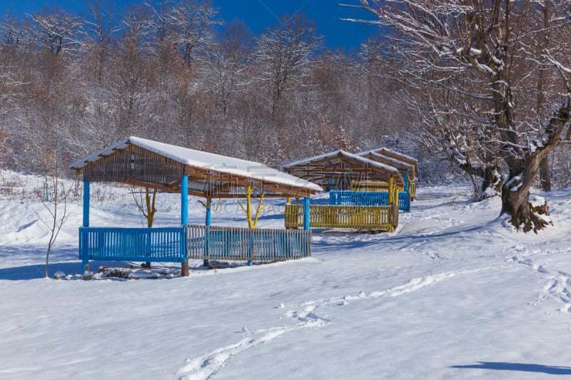 雪,冬天,森林,藤架,凉棚,环境,霜,天气,壁室,屋顶