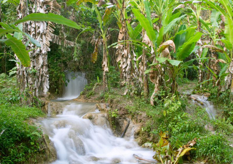 特拉华,agua azul cascades,水,公园,水平画幅,枝繁叶茂,瀑布,无人,热带雨林,户外