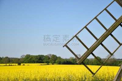 古老的,机翼,风景,风车,季节,春天,美,风,水平画幅,无人