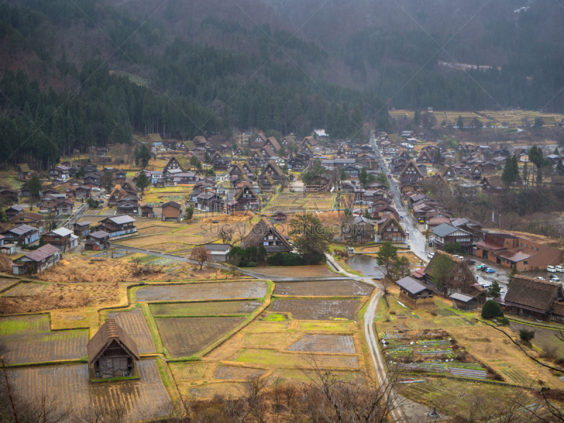 白川乡,世界遗产,秋天,乡村,日本,风景,个性,季节,传统