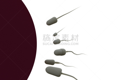 精子,三维图形,卵,性和生殖,水平画幅,形状,小的,无人,绘画插图,生物学