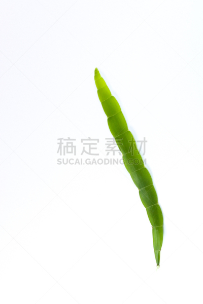 特写,传统,健康保健,清新,自然界的状态,背景分离,药,替代医药,边框,泰国
