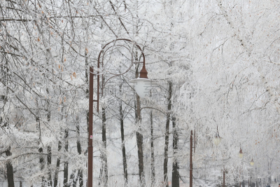 雪,公园,城市,路灯,寒冷,环境,霜,天气,大风雪,顿涅茨克