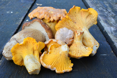 桌子,蘑菇,褐色,水平画幅,素食,古老的,生食,夏天,组物体,乡村风格