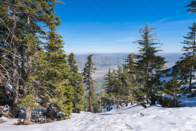 美国,山,棕榈叶泉,风景,圣吉辛托野生动物保护区,河滨县,加利福尼亚,自然,圣安地列斯断层,草地