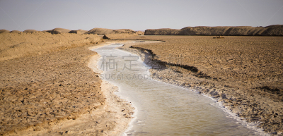 沙漠,亚洲,自然,伊朗,可门,曙暮光,全景,图像,金色,无人