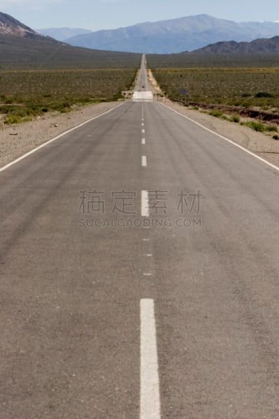 路,长的,数字66,胡胡伊省,萨尔塔省,柿子树,垂直画幅,偏远的,干的,65到69岁