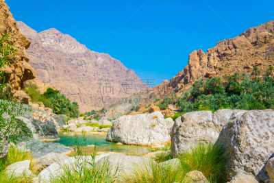 阿曼,陡峭,沟壑,棕榈树,水,河床,深的,提威族,山,著名自然景观