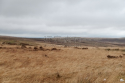 saddleworth moor,云景,黄昏,英国,英格兰,草,摩尔人风格,夏天,户外,天空