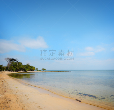 海滩,鸡尾酒,植物群,水,水平画幅,沙子,无人,衰老过程,水下,夏天