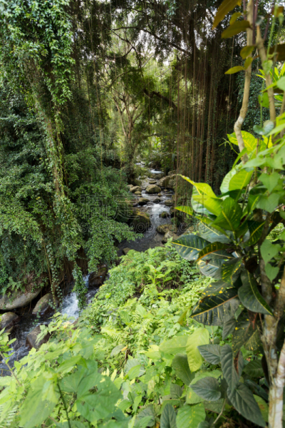 河流,巴杜尔山,寺庙,地形,坦帕西林,喀拉喀托火山,乌布,乌不乌伦地区,垂直画幅,灵性