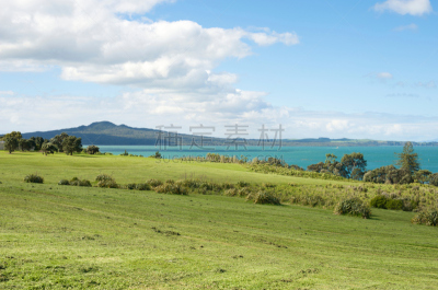 rangitoto channel,朗伊托托岛,奥克兰,新西兰,水平画幅,无人,著名景点,草,海洋,摄影