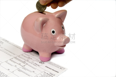 储蓄,金融,1040税表,税表,小猪扑满,水平画幅,银行,无人,银行帐户,全球财政