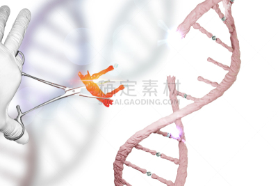 脱氧核糖核酸,编辑,基因治疗,手牵手,镊子,生物科技,替代疗法,辅导讲座,水平画幅,绘画插图
