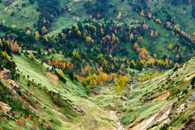 秋天,风景,滋贺县,叶子,长野县,色彩鲜艳,草津山,户外活动,植物,背景