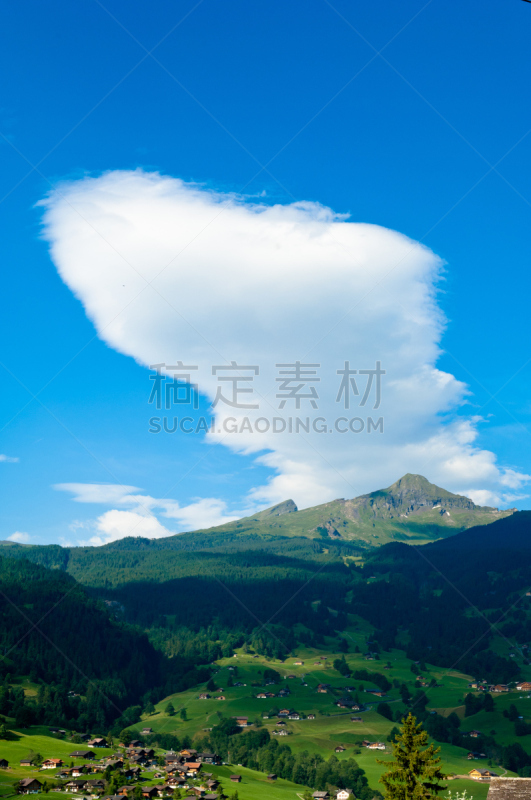 瑞士,山脉,本尼斯阿尔卑斯山,夏天,垂直画幅,天空,雪,少女峰,紫苑,户外