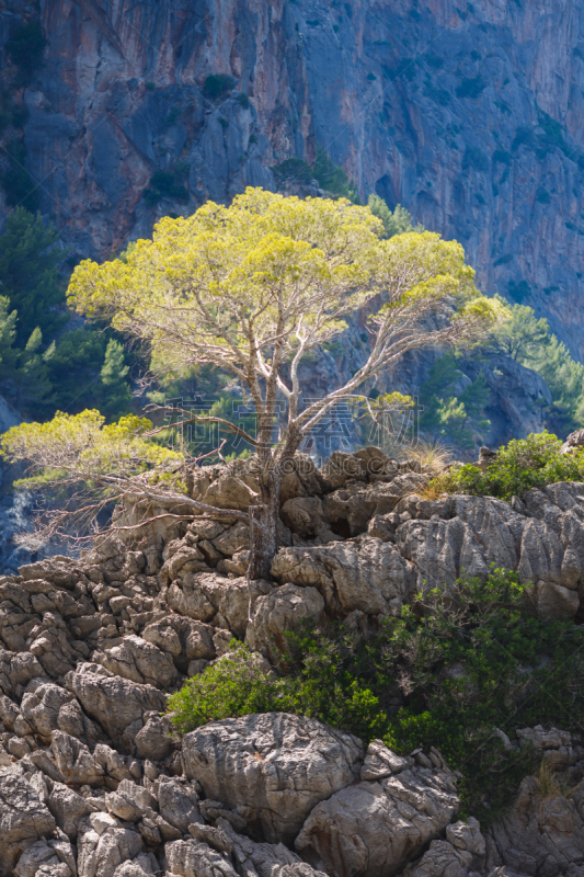 冰块,垂直画幅,休闲活动,无人,夏天,巴利阿里群岛,山,著名景点,旅游目的地,蓝色