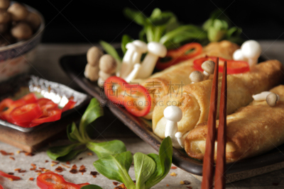 蔬菜,春卷,日本食品,高雅,餐具,褐色,胡萝卜,水平画幅,素食,开胃品