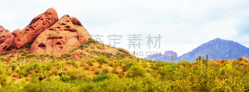 帕帕格公园,菲尼克斯市,水平画幅,brittlebush,凤凰,萨挂诺仙人掌,索诺兰沙漠,亚利桑那,云