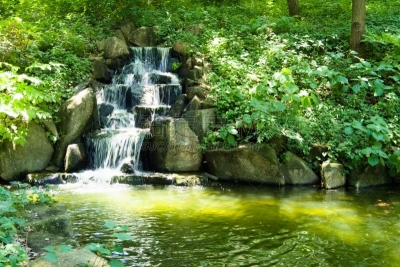 自然,图像,枝繁叶茂,八仙花属,无人,夏天,建筑石碑,水平画幅,绿色,充满的