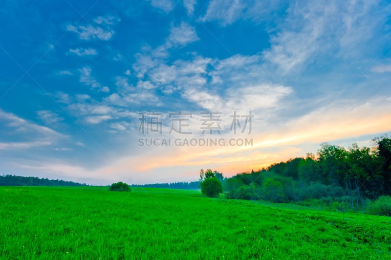 天空,草,明亮,清新,蓝色,绿色,水平画幅,枝繁叶茂,无人,生长