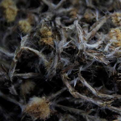 母亲,饮料,农业,蔬菜,继母,背景分离,食品,环境,成分,自然美