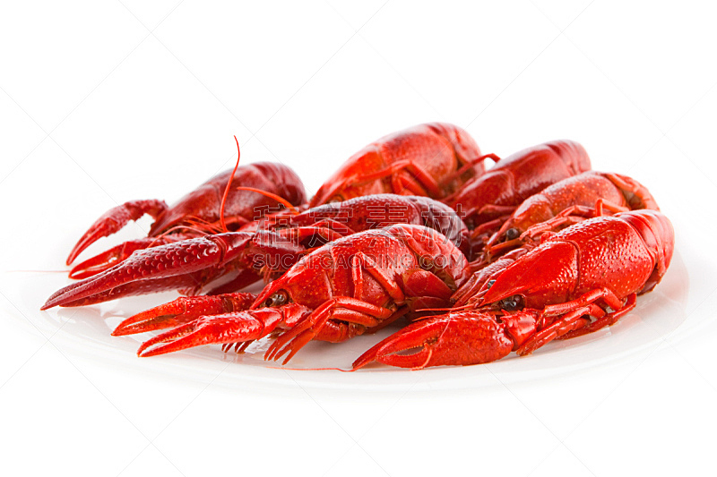 螯虾,饮食,煮食,水平画幅,海产,熟食店,背景分离,特写,红色,螃蟹