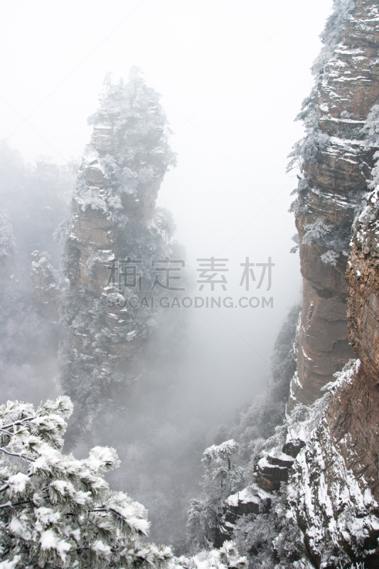 雪,冬天,雾,石英岩,张家界,湖南省,原始主义,垂直画幅,沟壑,山