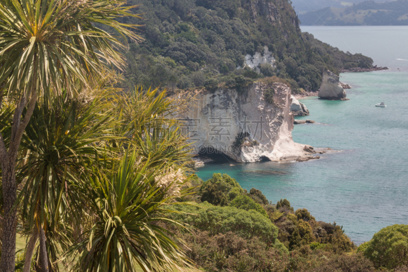 cathedral cove,龙血树种植物,植物群,在上面,科罗曼德尔半岛,悬崖,水平画幅,山,无人,海岸地形