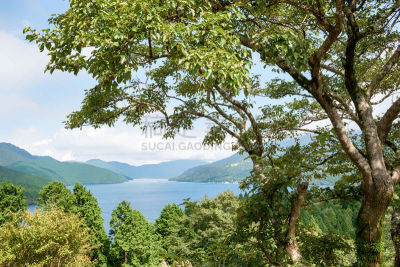 湖,看,山口,芦之湖,天空,里山,度假胜地,休闲活动,水平画幅,无人