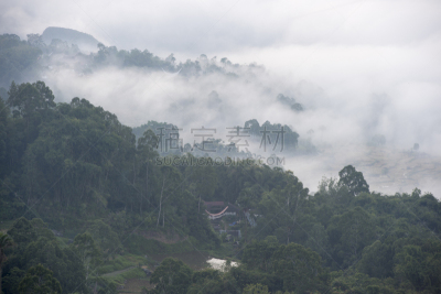 稻田,雾,早晨,有包装的,格林威治村,亚洲,自然,乡村,锥形帽,风