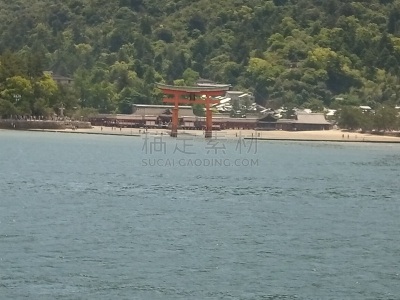 海滩,地球,大于号,旅途,太平洋岛屿,呼吸管,海浪,海豚,海龟