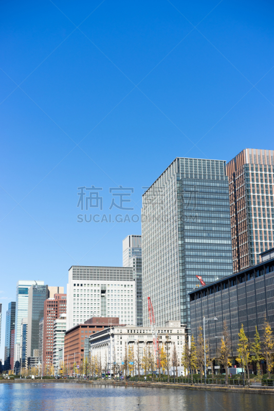 建筑业,日比谷,两只动物,都市风光,垂直画幅,城镇景观,公园,无人,户外,丸之内