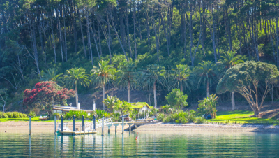 派希亚镇,bay of islands,自然,岛屿湾海岸公园,野生动物,图像,海豚,野外动物,新西兰北岛,石中洞
