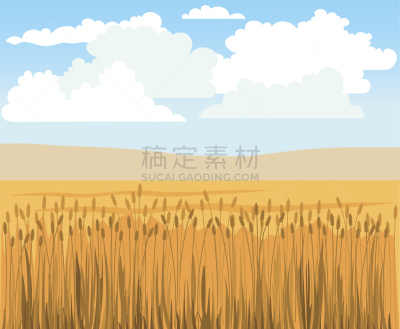 小麦,田地,矢量,一捆小麦,联合收割机,裸麦,稻田,大麦,天空,绘画插图