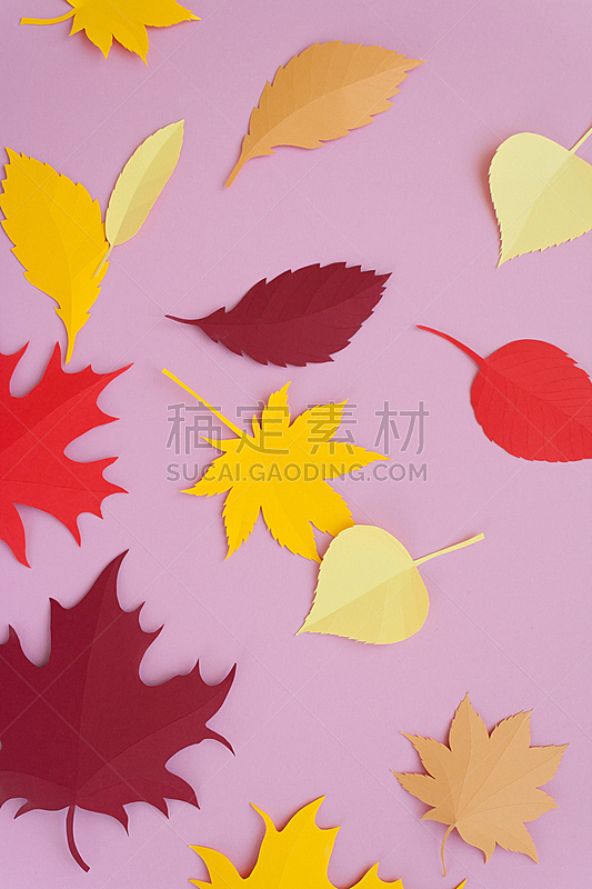 黄色,红色,叶子,橙色,纸,粉色背景,十月,热,美术工艺,背景