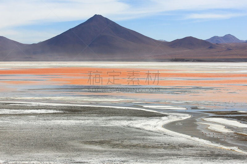 沙漠,泻湖,玻利维亚,野生动物保护区,科罗拉达湖,智利,安地斯山脉,红松,动物,风景