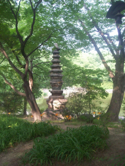 首尔,城市,韩国,江南区,垂直画幅,建筑,夜晚,无人,金融,南