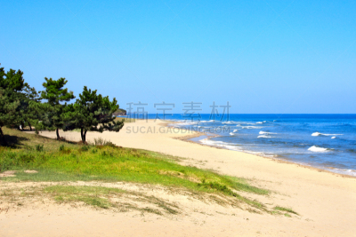 松树,波浪,沙子,黄海,朝鲜,海滩,海岸线,朝鲜半岛,夏天,户外