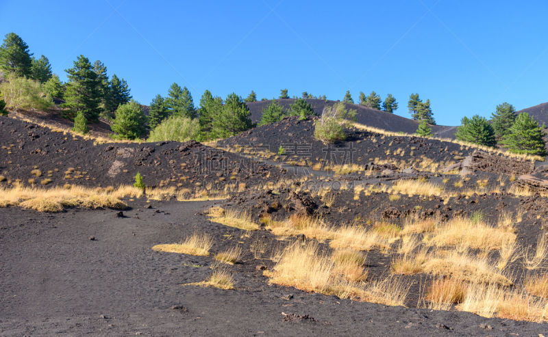 缝匠肌,埃特纳火山,西西里,山,火山,意大利,陨石坑,熔岩,松林,国家公园