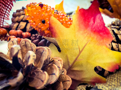 秋天,华丽的,十月,彩色背景,橙色,色彩鲜艳,自然美,枫叶,装饰物,改换颜色