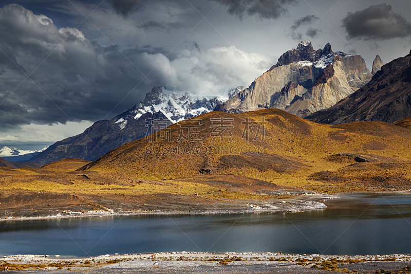 百内犄角双峰,智利,自然,野生动物,安地斯山脉,水平画幅,山,岩石,雪,冰河